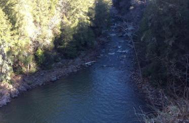 The Bird House near Fall Creek Falls State Park - Foto 67