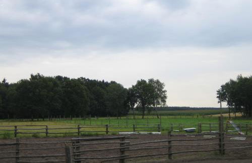 Ferienhof Drewes Ranch - Foto 8