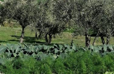 Casale San Martino Agriturismo Bio - Foto 38