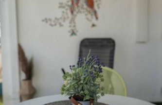 GeoFan Penthouse I - Foto 14