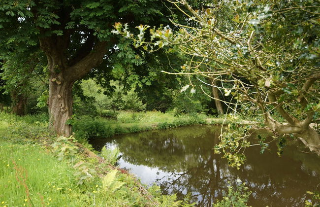 Fosfelle Cottages - Foto 32