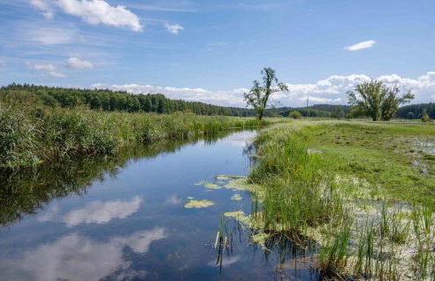 Amazing Home In Gietrzwald - Foto 7
