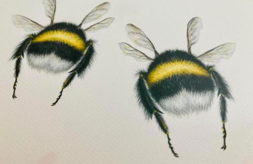 Murmelschlupf & Hummelschlupf Oberstaufen/Steibis - Foto 20