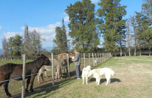 Monica di Sorbo - Foto 39