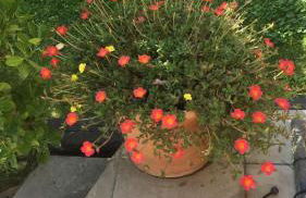 Casa Rural Lago Bolarque - Foto 30