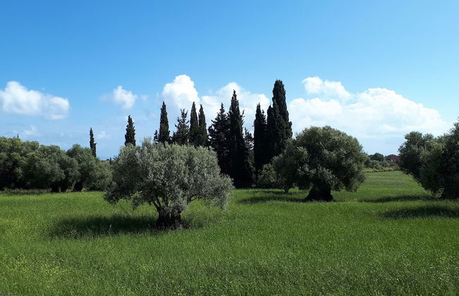 Villa Elaionas 1 - Foto 56