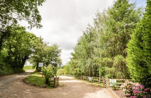 Phocle Lodge - Foto 26