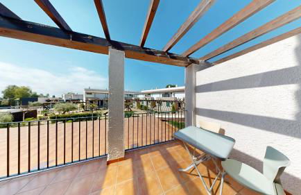 Lamb's Ears - Foto 18