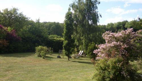 Reetdach - Ferienwohnung " Spann mol ut " bei Binz - Foto 5