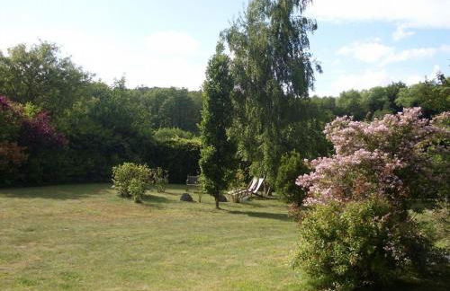 Reetdach - Ferienwohnung " Spann mol ut " bei Binz - Foto 5