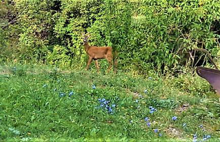 Agriturismo Malvista - Foto 63