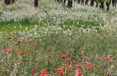 13 Rue du Tour d'Enceinte - Foto 22