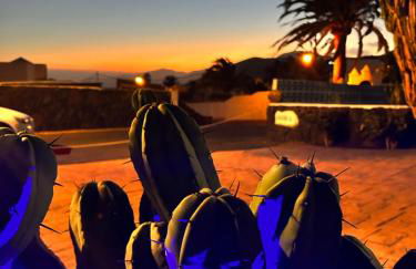 Villa Cactus Piscina Climatizada - Foto 35