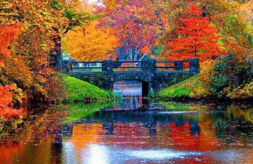 Boston Harbor views Modern north end condo FREE PARKING! - Foto 42