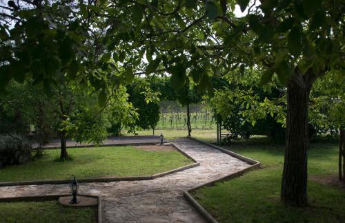 Sanja apartments Sveti Servul - Foto 24