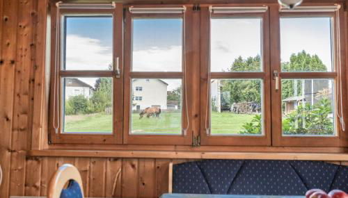 Gästehaus Meier Ferienwohnung und Camping - Photo 4, Garden view