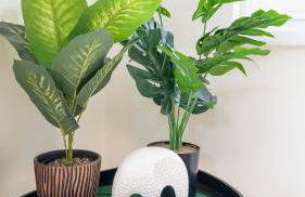 Klein Windhoek auf Rügen - Foto 15