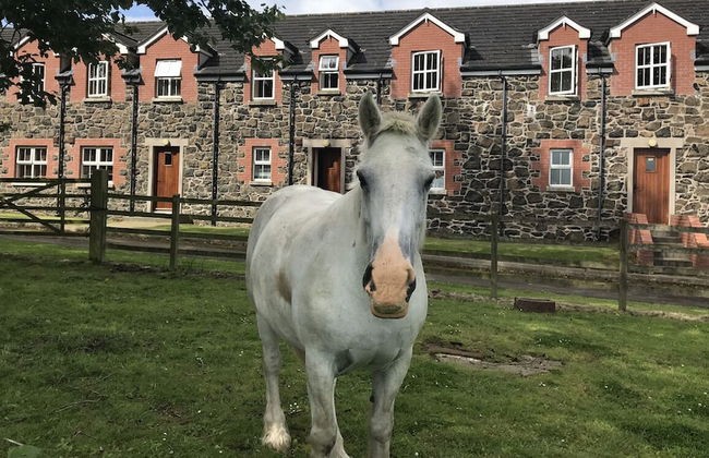 Stable Court Apartments - Foto 36