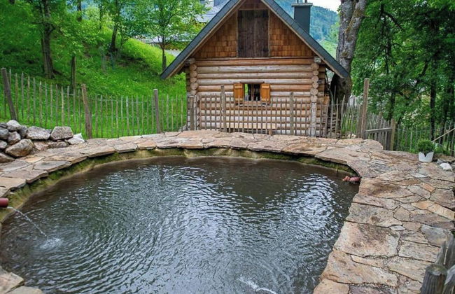 Infanglalm "attersee" - Foto 18