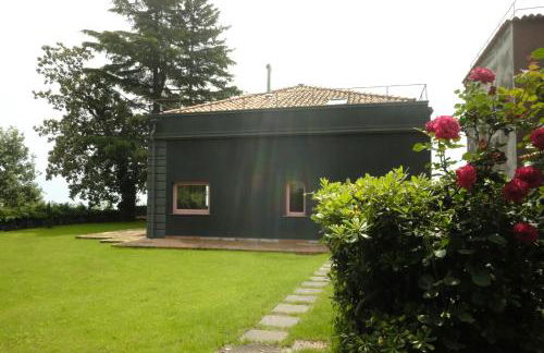 Milo Agriproduction - Foto 2