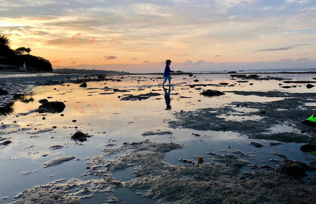 Seaside Cottage in Ryde - Foto 19