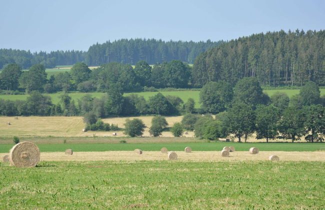 Spacious Retreat, Daverdisse - Photo 22