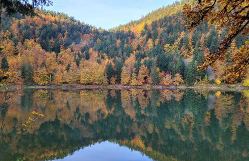 la Marcairie - Foto 37