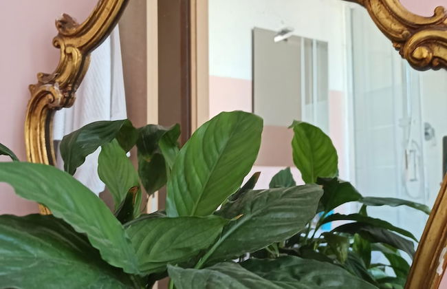 Paradise Rooms - Foto 15