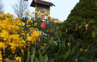 Agritur Cristina - Foto 34