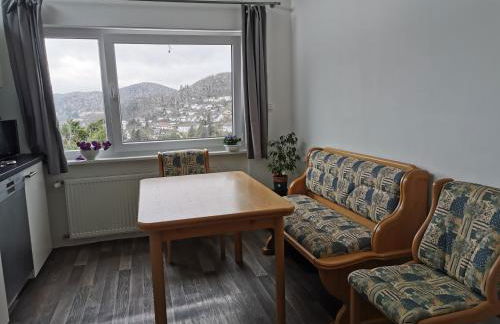 Apartments in Biedenkopf - Foto 32