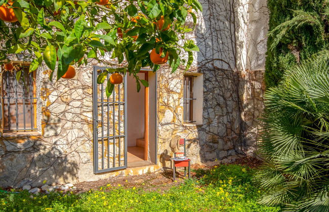 Vista Halcon - Foto 24