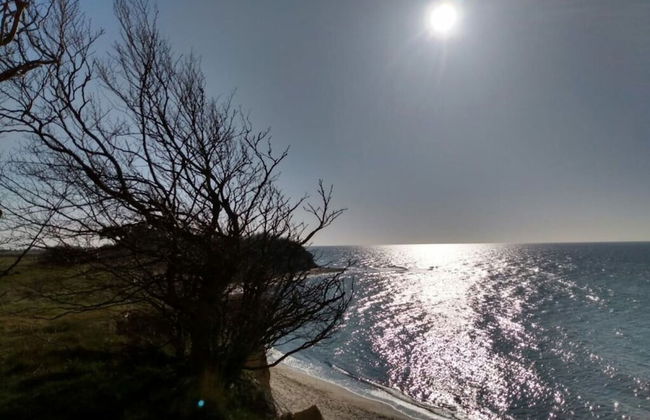 "sandpiper" on Rugen - Foto 20