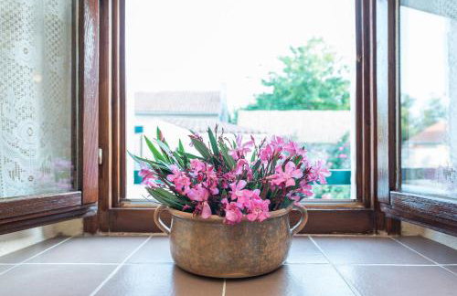 Villa Petrovi Dvori Zadarvillas - Photo 23