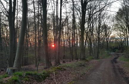 MOIN, MOIN & AHOI! - Foto 49