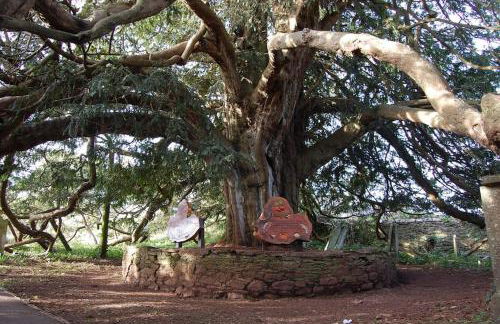 The Post House (Centre of riverside village) - Photo 21