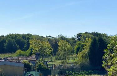 Welcoming house with terrace and garden in Barra de Mira - Foto 25