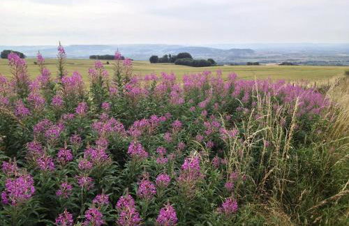 Four Seasons Cottage - in the Cotswolds - Foto 35