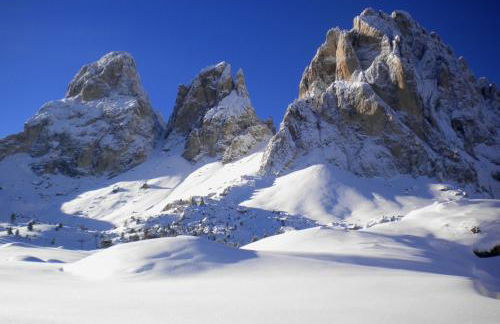 Residence Villa Artic - Foto 50