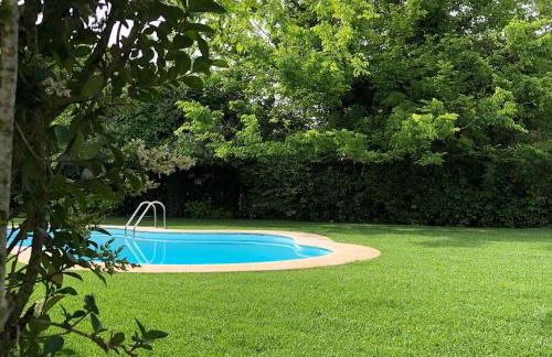 Horta dos Cedros - Foto 31