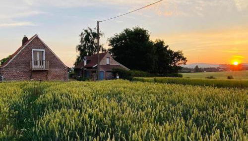 Cottage chaleureux au cœur des Monts de Flandres - Foto 4