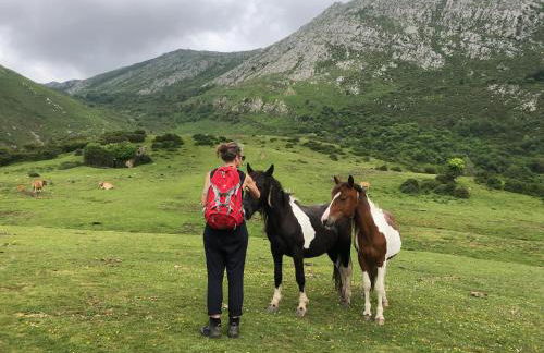 Casa Mariquina Peaceful spacious home in Llanes - Photo 61