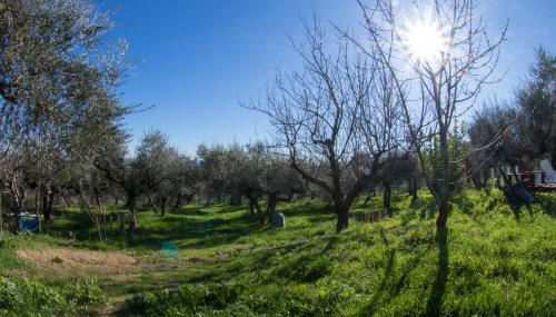 Orion House - Foto 3