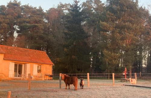 Le gite d Henri - Photo 7