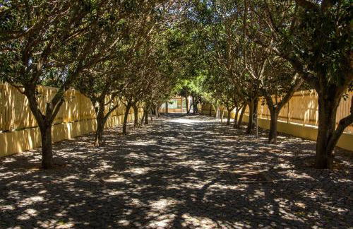 Barracuda A14 - Foto 44