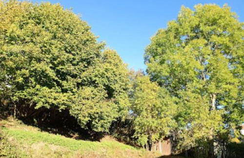 Chalet avec Vue à Murat-le-Quaire - 120 m² - Foto 37