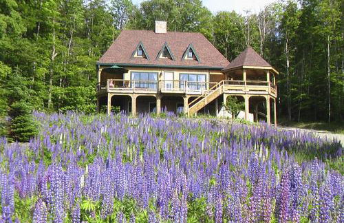 Eagle's Nest - Foto 1