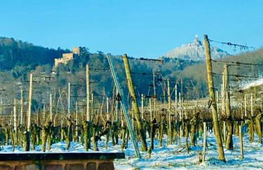 Gîte Spa La grange - Foto 24