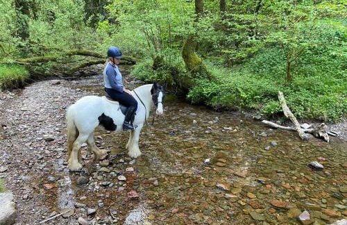 Oakies Farm Stays - Foto 32