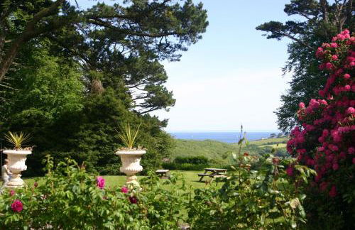 Penmorvah Manor Hotel - Foto 42