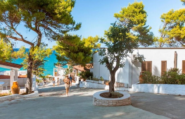 sfinal residence - Photo 38